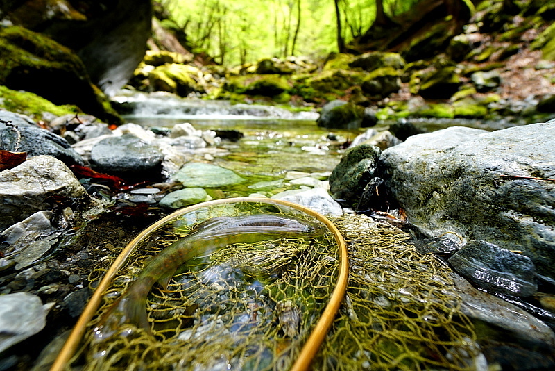 c0339900_20132907.jpg