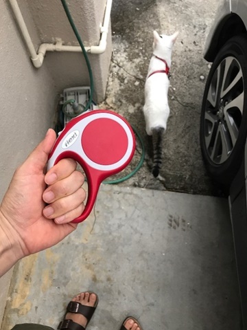 e0359604_16314872.jpeg