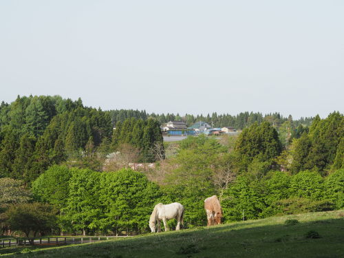 a0270507_19180385.jpg
