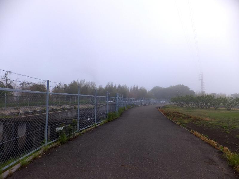 b0000209_18475450.jpg