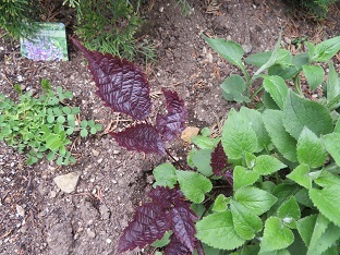 f0325309_09374066.jpg