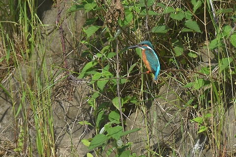f0233011_1845431.jpg