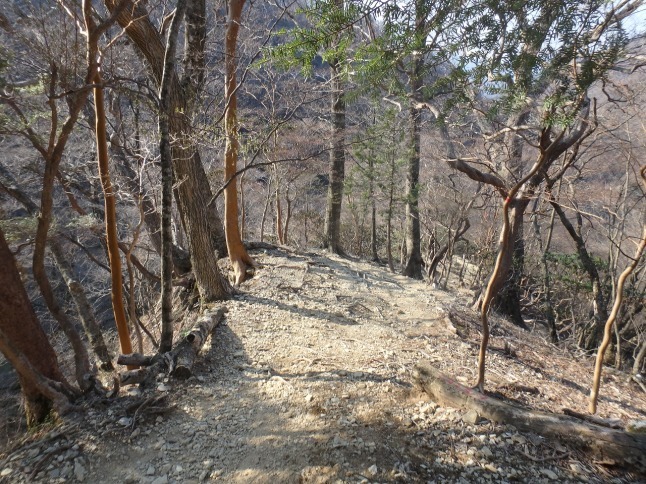 c0337813_16333176.jpg