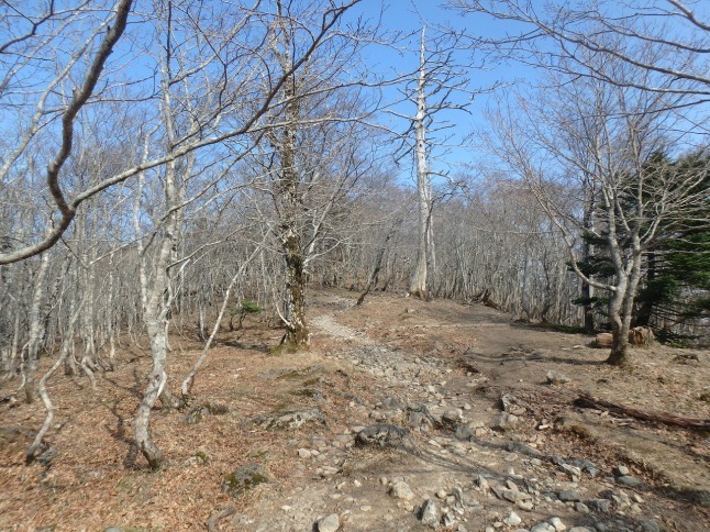 c0337813_16333628.jpg