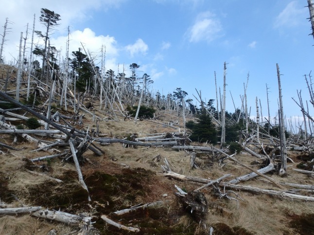 c0337813_16334790.jpg