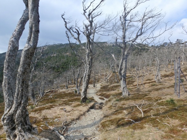 c0337813_16335294.jpg