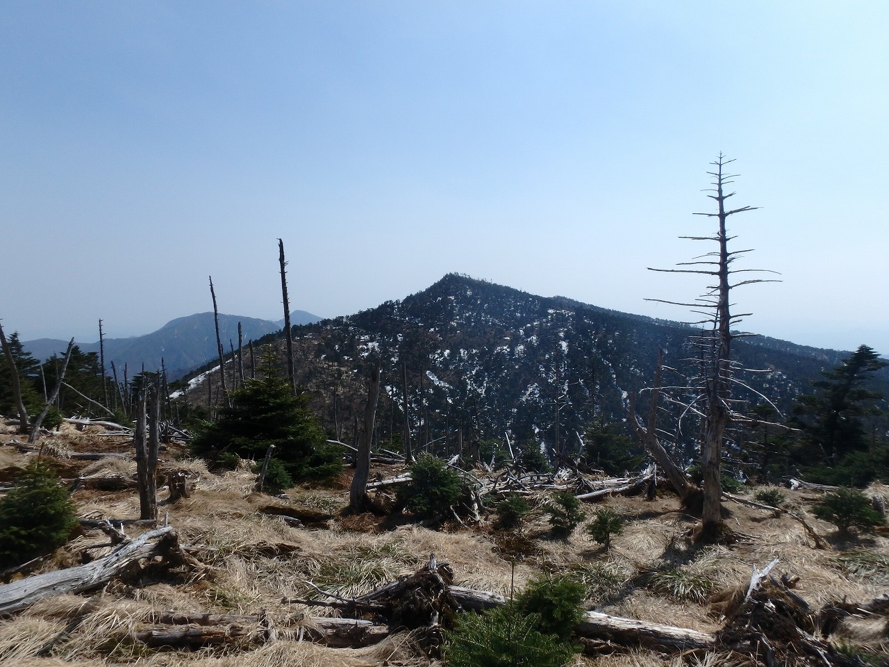 c0337813_16341073.jpg