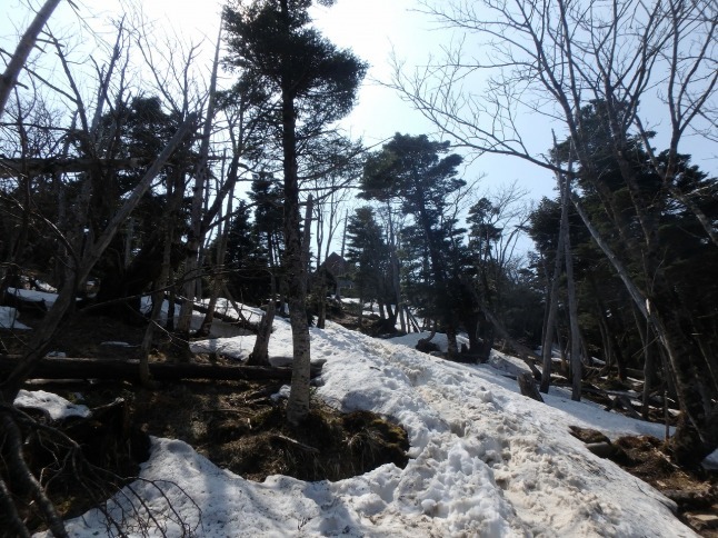 c0337813_16343715.jpg