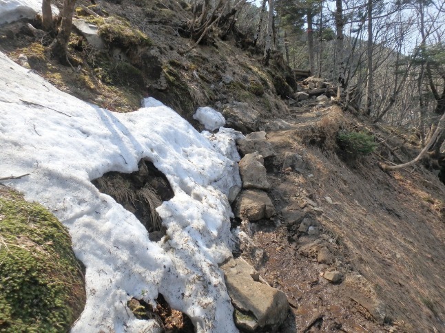 c0337813_16344726.jpg