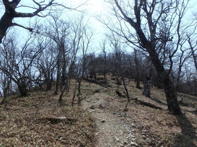 c0337813_16351382.jpg