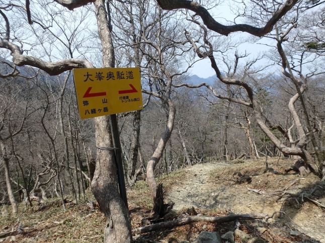 c0337813_16351961.jpg