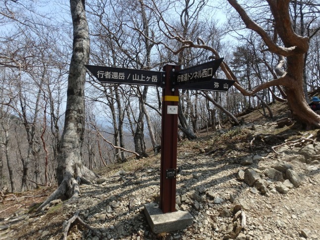 c0337813_16352594.jpg