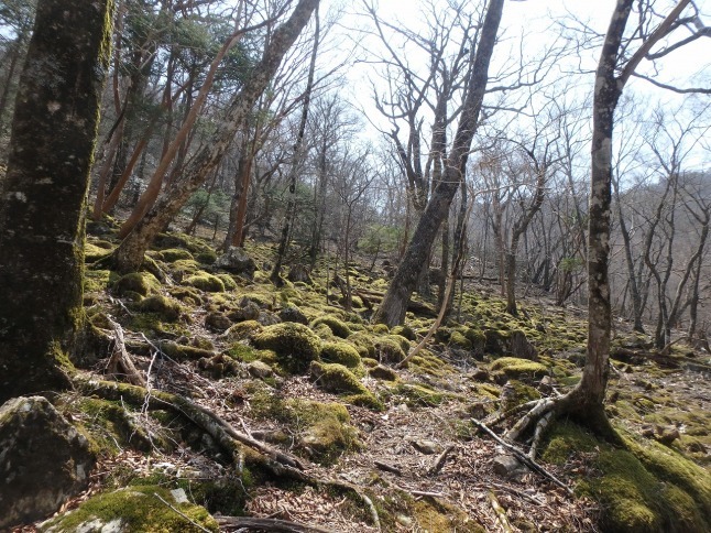 c0337813_16353158.jpg