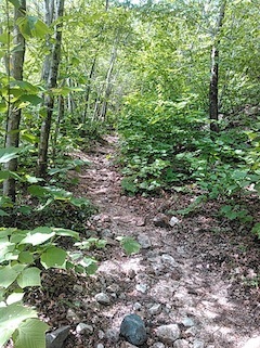 c0359615_20513453.jpg