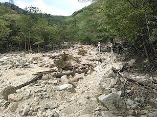 c0359615_20514559.jpg