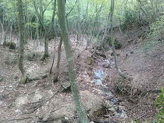 c0359615_20521345.jpg