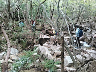 c0359615_20541139.jpg