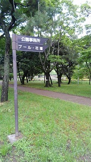a0172222_13580269.jpg