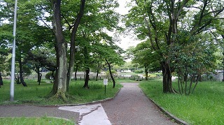 a0172222_13583115.jpg