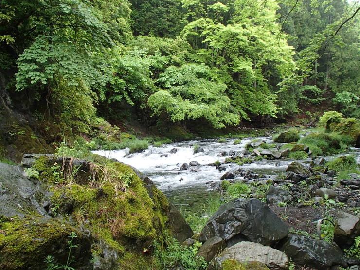 d0172227_2231522.jpg