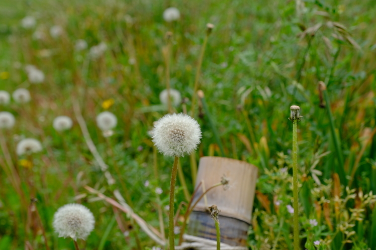 f0363628_20114905.jpg