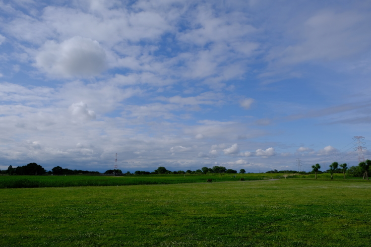 f0363628_20152725.jpg