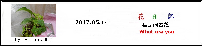 e0033229_17164269.jpg