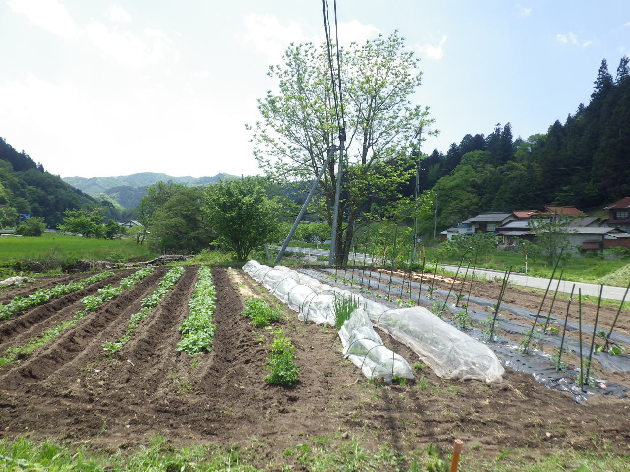 c0300035_13131558.jpg