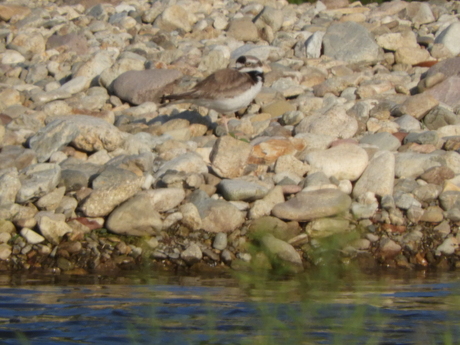 f0113136_1746377.jpg