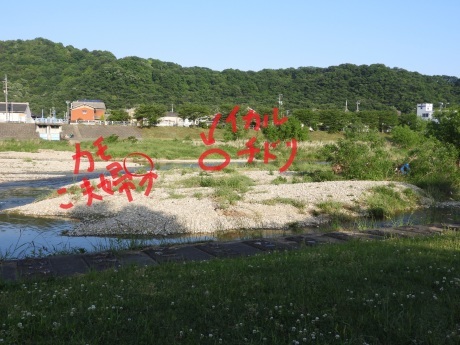 f0113136_17552176.jpg