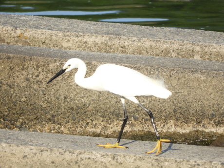 f0113136_17593675.jpg