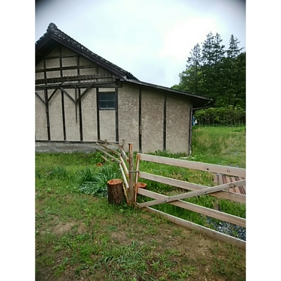 f0226836_16474355.jpg