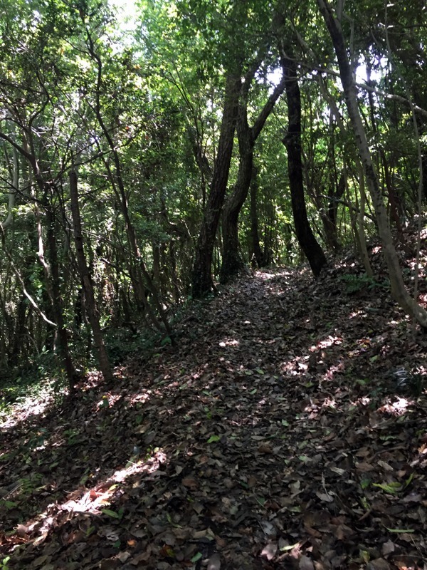 b0057140_16480152.jpg