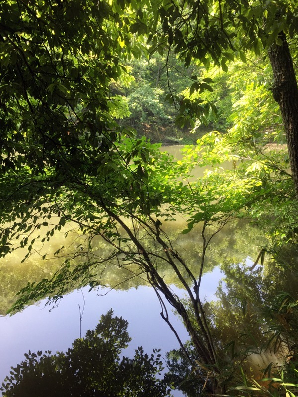 b0057140_16501061.jpg