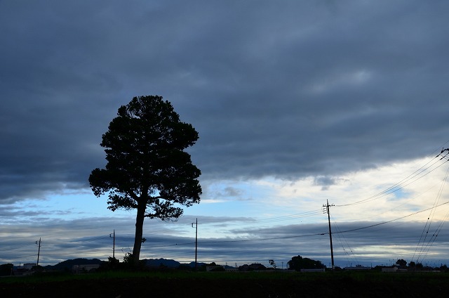 f0207943_18395430.jpg
