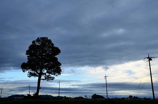 f0207943_18504477.jpg