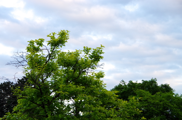 e0262946_18313053.jpg