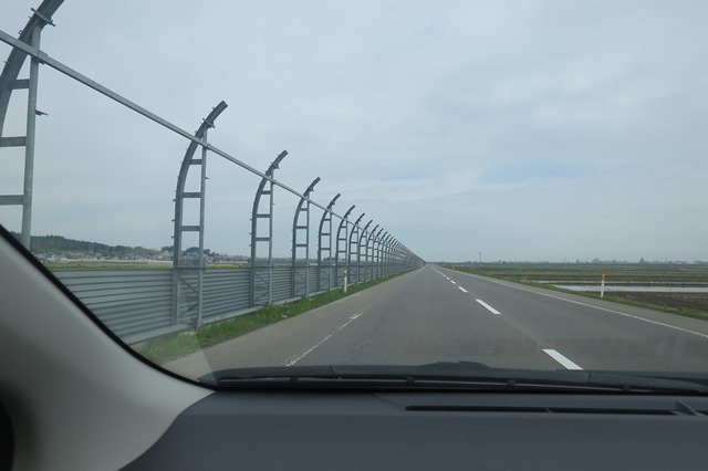 f0202151_20213139.jpg