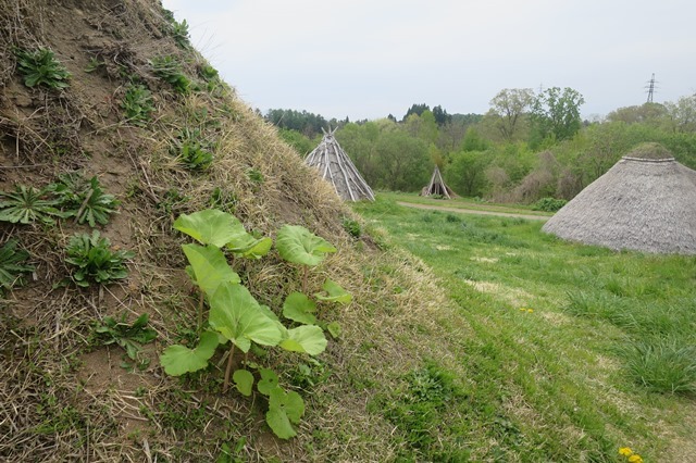 f0202151_20231072.jpg