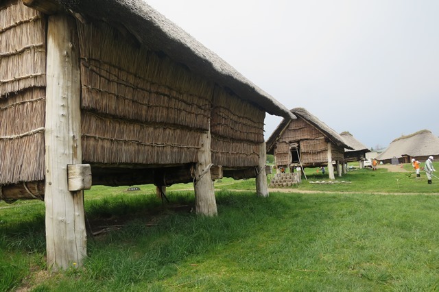 f0202151_20250070.jpg