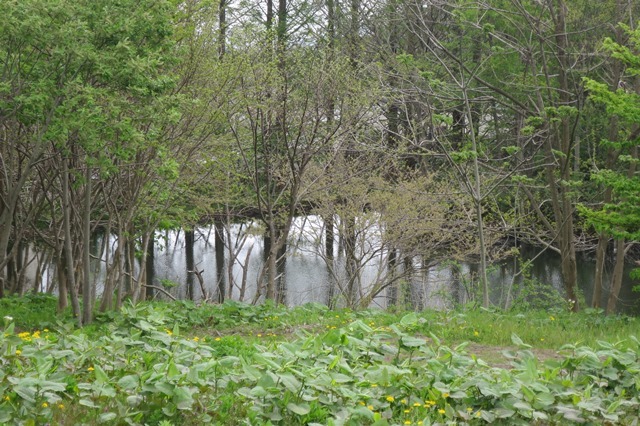 f0202151_20261677.jpg