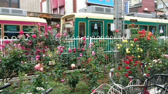 d0347253_18394389.jpg