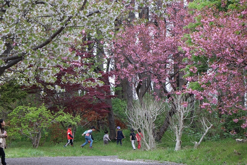 b0250154_09533373.jpg
