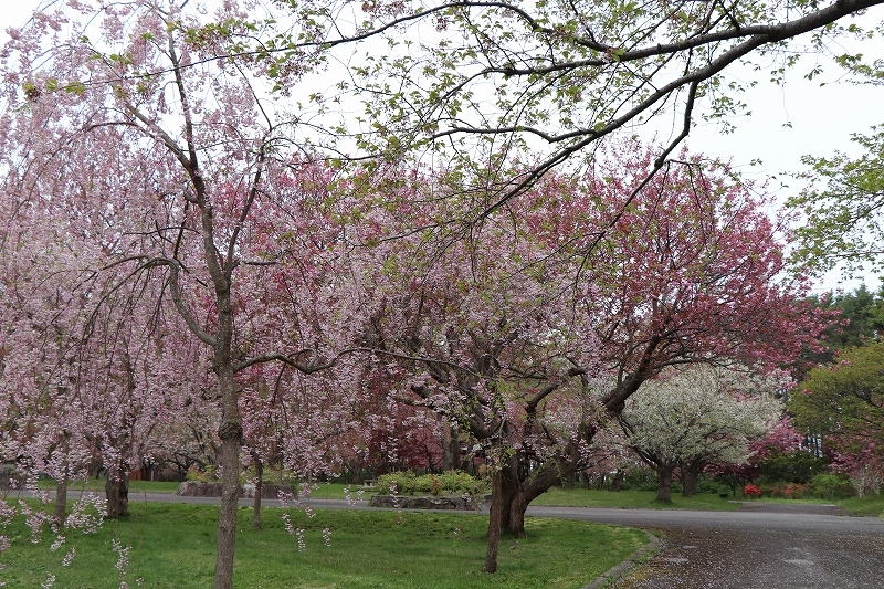 b0250154_22371408.jpg