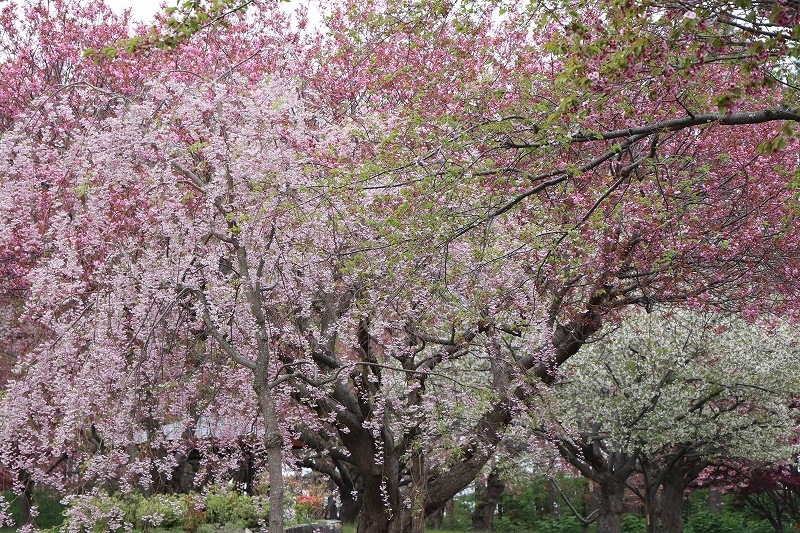 b0250154_22381435.jpg