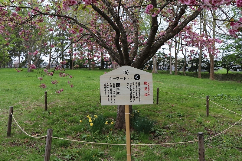 b0250154_22414102.jpg