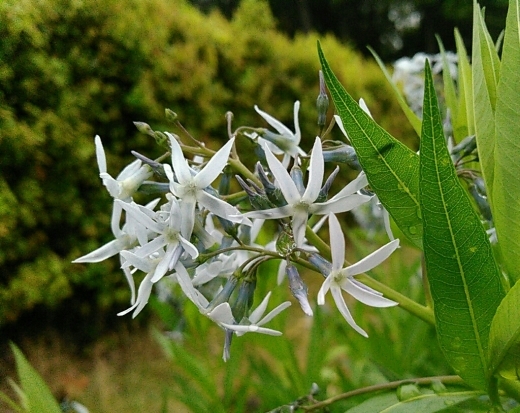 a0018655_15212163.jpg