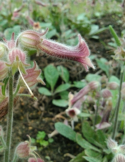 a0018655_15214794.jpg