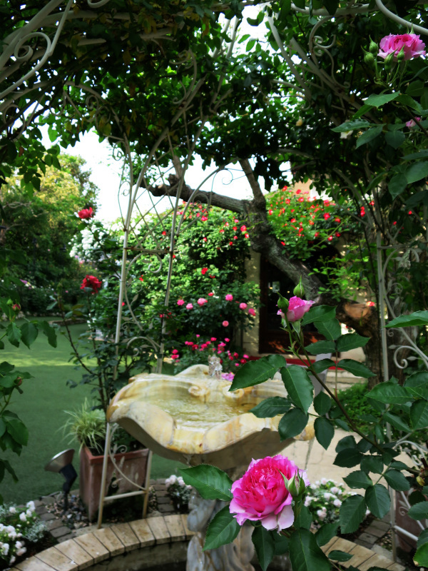 f0054556_11035679.jpg