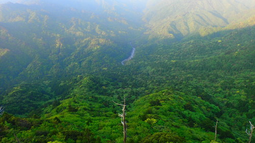 b0160957_12214605.jpg